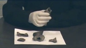 Algunos de los huesos presentaban cortes (estaban aserrados), prueba de que fueron descuartizados antes de enterrarlos 
